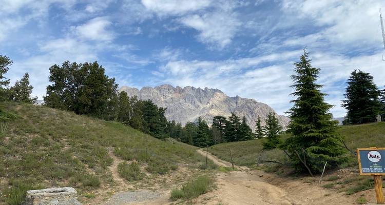 Mountain trail winding through conifer trees with rugged peak and blue sky backdrop.