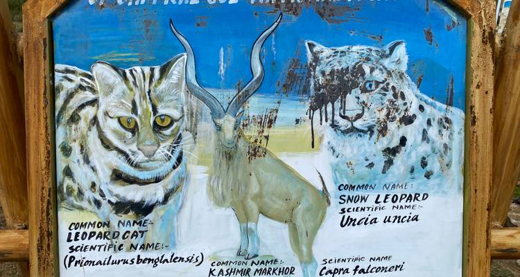Illustrated information board featuring leopard cat, snow leopard and markhor in a wildlife park.