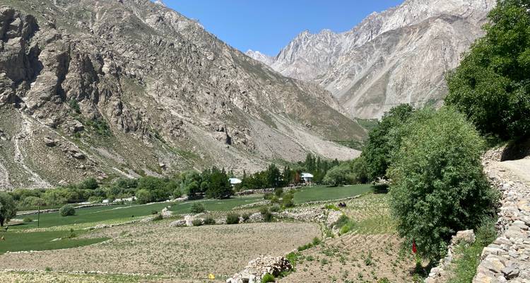 Cultivated green valley dotted with trees beneath towering rocky mountains under clear skies.