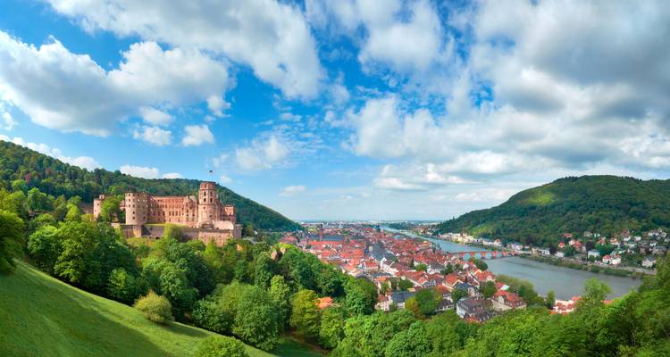 Vista panorámica amplia del castillo de Heidelberg, los tejados del casco antiguo, el puente y el río enmarcados por colinas verdes.