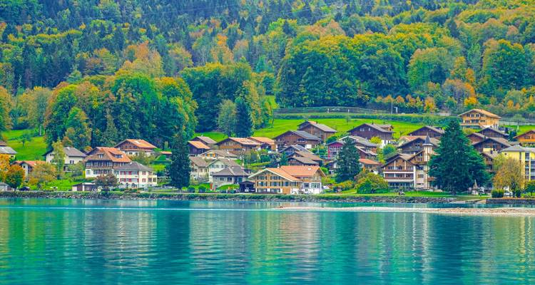 Fila de chalets suizos junto a un lago tranquilo con denso bosque verde elevándose detrás.