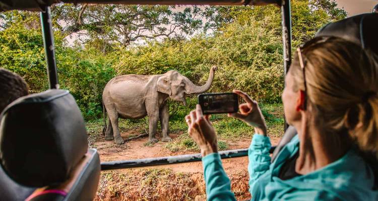 Pasajero de safari tomándose una foto con un elefante salvaje levantando la trompa al lado de una jeep en una maleza densa.