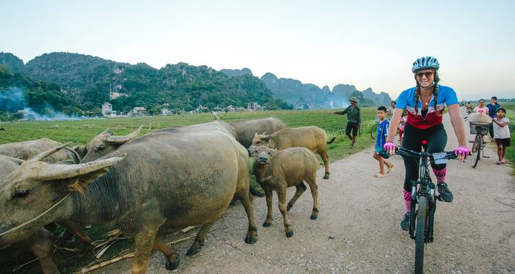 Un cycliste pédale devant un troupeau de buffles d'eau accompagnés par des enfants locaux sur un chemin rural.