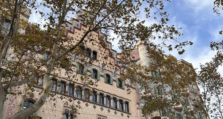 Façade moderniste ornée partiellement encadrée par des branches d'arbres automnales contre un ciel pâle.