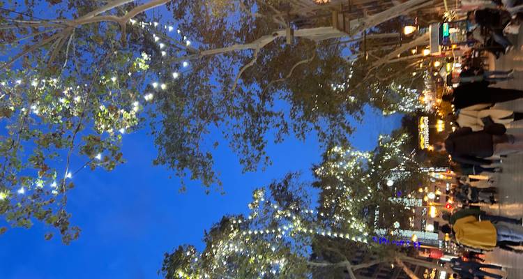 Une foule du soir se promène sous les lumières féeriques scintillantes et les grands platanes le long de La Rambla.
