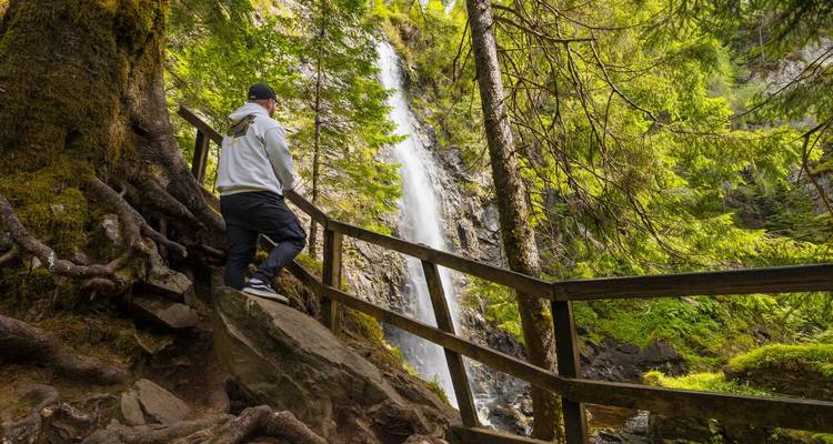 Un excursionista contempla una cascada delgada cayendo a través de un bosque verde exuberante desde una plataforma de madera.