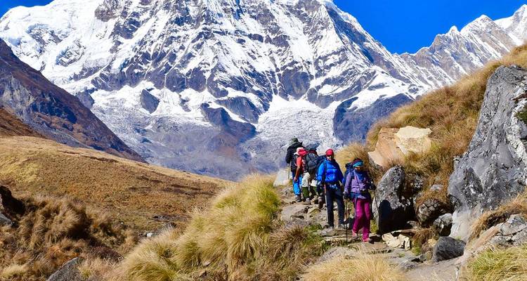 Een groep trekkingsliefhebbers loopt over een stenig pad omhoog naar imposante, sneeuwbedekte Himalaya-pieken onder een levendige blauwe hemel.