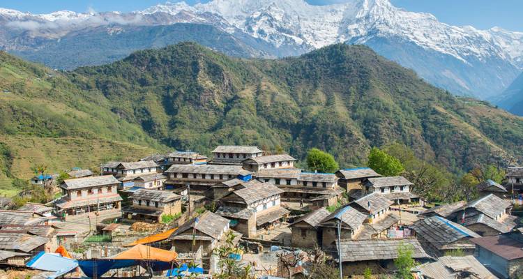 Huizen met stenen daken stromen langs een groene helling naar beneden met sneeuwbedekte Himalaya-pieken die in de verte uitsteken.