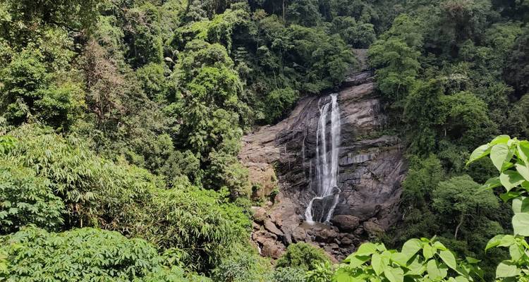 Ein hohes Wasserfall, das über eine felsige Klippe hinab in einen dichten Tropenwald fällt.