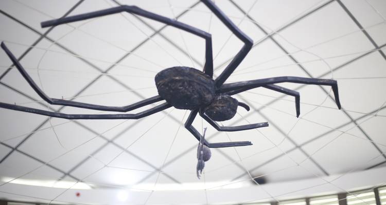 A huge black spider sculpture hangs from the ceiling of a contemporary gallery space.