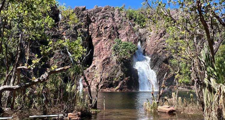 Piscina rocosa en la base de una cascada con agua cristalina rodeada de árboles nativos bajo un cielo azul.
