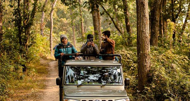Les touristes se tiennent debout dans un jeep décapotable circulant le long d'une piste de terre à travers une forêt dense.