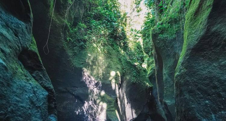 Smal mosbegroeid canyon met gefiltered zonlicht door dicht gebladerte