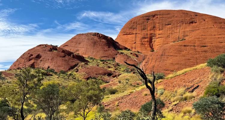 Red sandstone domes of Kata Tjuta rise against a bright blue sky with scattered trees and scrubland in the foreground.