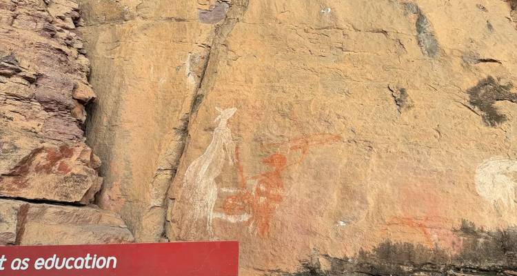 Aboriginal rock art depicting animals and figures on a sandstone wall.