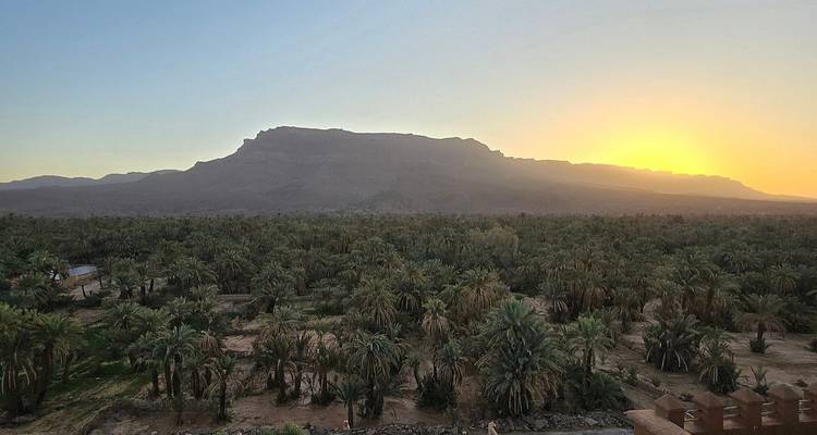 Un vasto oasis de palmeras se extiende hacia una cresta montañosa brumosa al amanecer, bañado en una luz dorada suave.