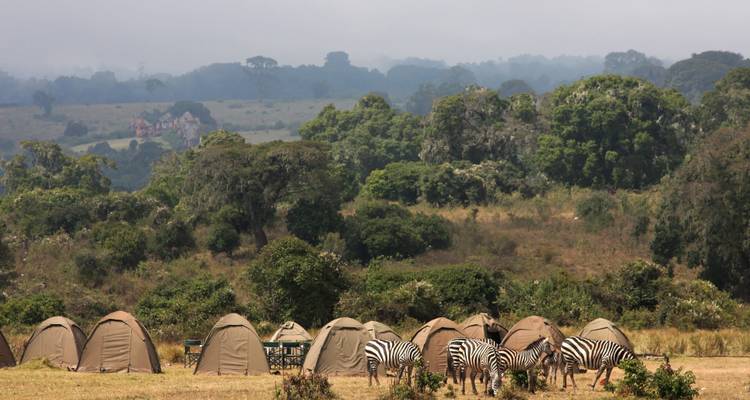 Een safarikamp met rijen zandkleurige tenten terwijl een kleine groep zebra's in de buurt graast, tegen een achtergrond van beboste heuvels.