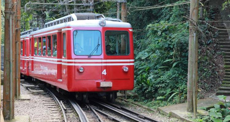 Train à crémaillère Red Corcovado circulant à travers une jungle dense sur des voies étroites