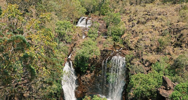 Dos cascadas gemelas cayendo en cascada hacia un desfiladero verde y exuberante visto desde arriba