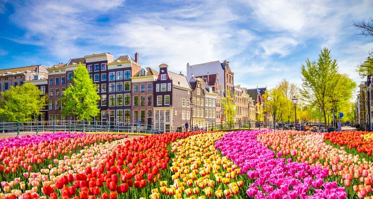 Amsterdamer Kanal gesäumt von klassischen Häusern und lebendigen Tulpenbetten unter blauem Himmel