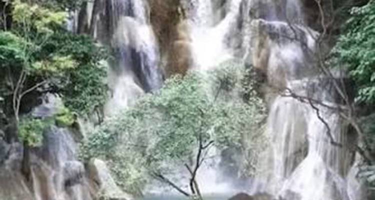 Ein hohes, nebelverhangenes Dschungel-Wasserfallstürzt über Felswände hinter einem einsamen Baum herab.