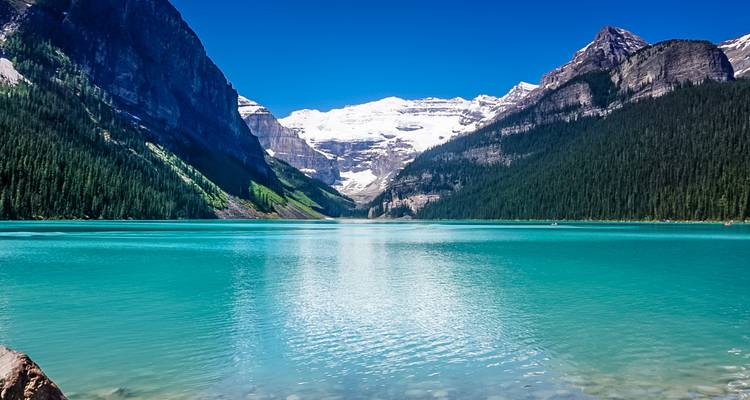 Turquoise Lake Louise surrounded by dense evergreen forests and snow-capped Rocky Mountains beneath a clear blue sky.