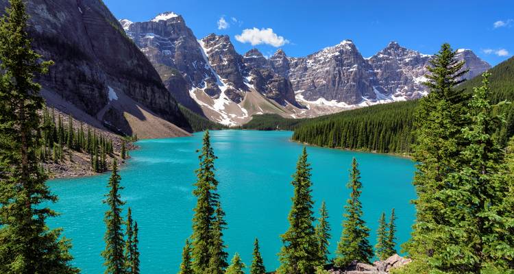 Iconic Moraine Lake with vivid turquoise water, tall pines, and dramatic snow-dusted peaks under a bright summer sky.