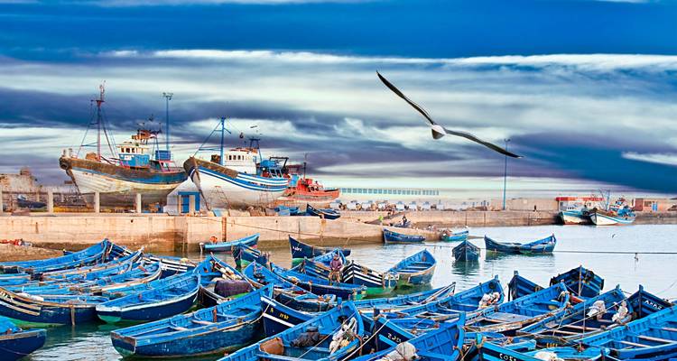 Flotte de bateaux de pêche bleu vif regroupés dans le port d'Essaouira sous des cieux dramatiques striés de nuages.