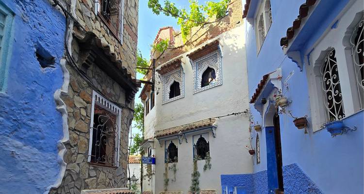 Ruelle étroite à Chefchaouen présentant des façades bleu et blanc, des fenêtres en fer forgé et des vignes grimpantes.