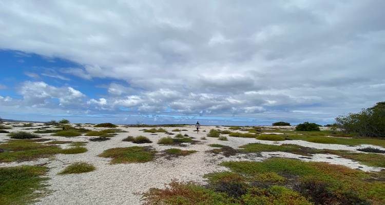 Vaste étendue plate de sable blanc corallien parsemée de petits arbustes sous un ciel nuageux dramatique, un randonneur solitaire au loin