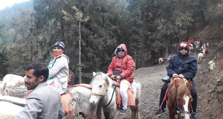 Tourists riding small horses along a muddy forest trail in the mountains.