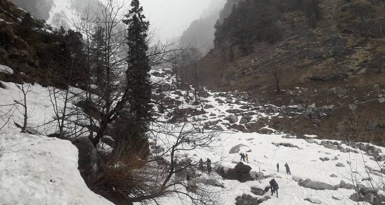 Snow-covered valley with scattered tourists exploring among rocks and fir trees in misty weather.