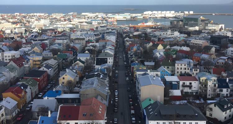 Vue d'ensemble des toits colorés de Reykjavik s'étendant jusqu'au port.