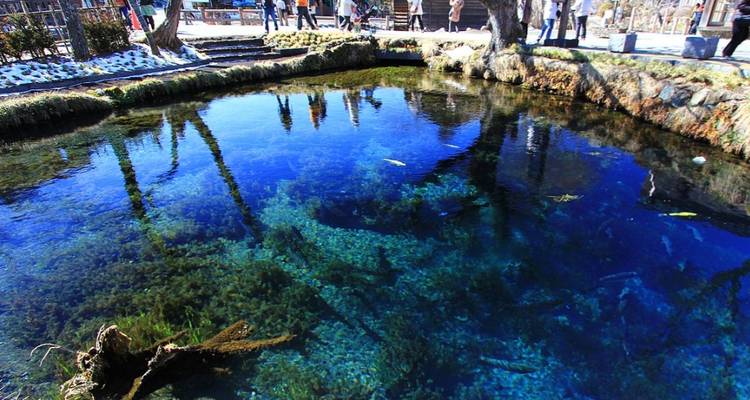 Kristallklarer blauer Quellteich mit Fischen, umgeben von hölzernen Gehwegen, auf denen Besucher das Wasser beobachten können.