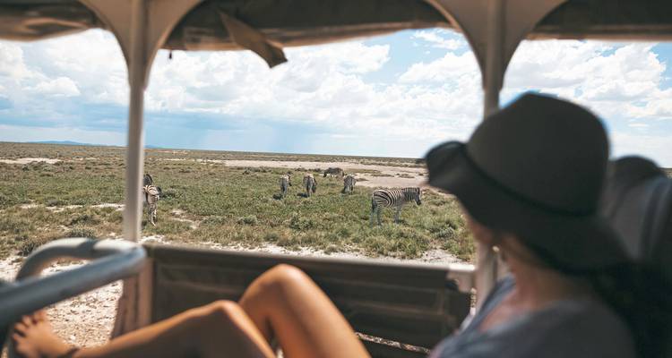 Reisender in einem Safariauto bei der Beobachtung von weidenden Zebras auf offenen Grasflächen unter hellem Himmel.