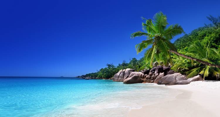 Idyllic white-sand beach with leaning palm tree, granite boulders and clear aqua water under a cloudless sky.