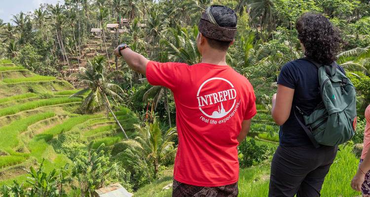 Local guide in red shirt pointing over lush green rice terraces while traveller listens