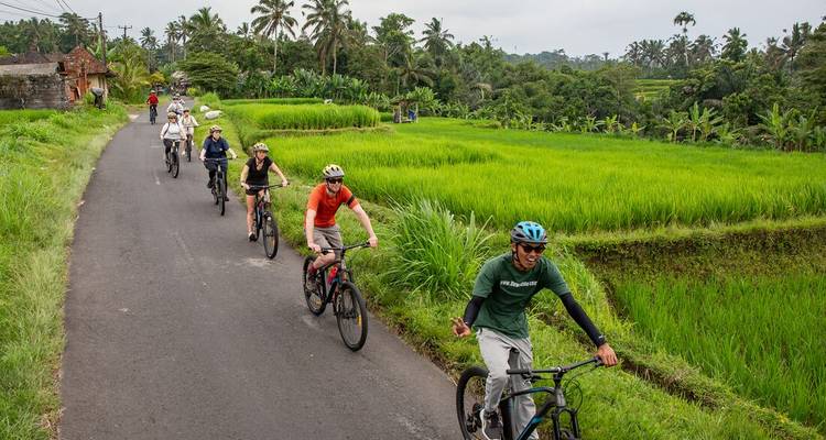 Los ciclistas recorren una carretera de asfalto rural flanqueada por arrozales de un verde vibrante en el campo de Bali.