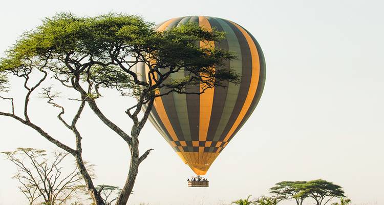 Un ballon d'air chaud rayé transportant des passagers flotte au-dessus d'un paysage de savane parsemé d'acacias.