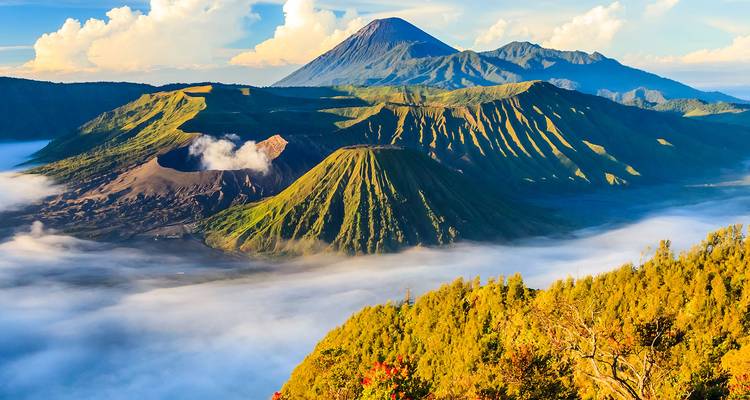 Spectacular sunrise over Mount Bromo caldera with mist filling the valley and lush green ridges.