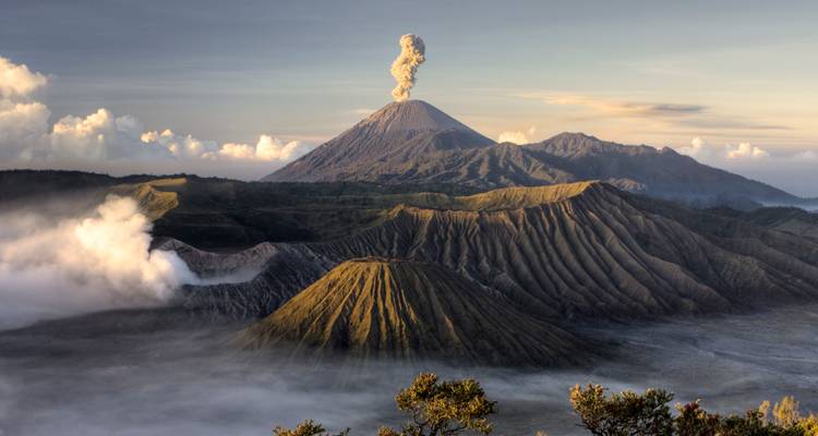 Mount Bromo emitting plume of ash above layered volcanic landscape bathed in soft morning light
