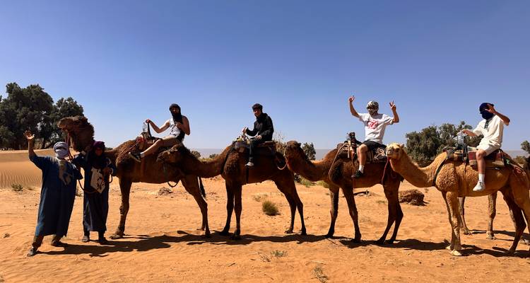 Group of travellers and local guides riding camels in a line across Moroccan desert sands.