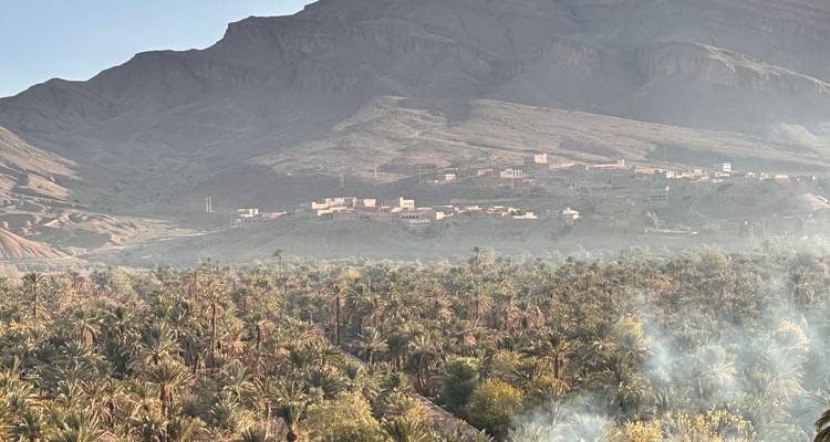 Lush palm oasis stretching below mountain foothills with morning mist and village in distance.