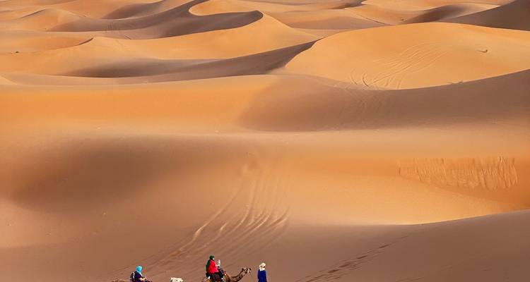Small group riding camels across sweeping golden sand dunes in the desert.