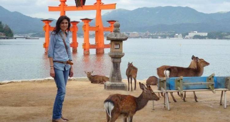 Visitor standing near friendly deer with Miyajima’s floating torii gate in the background.