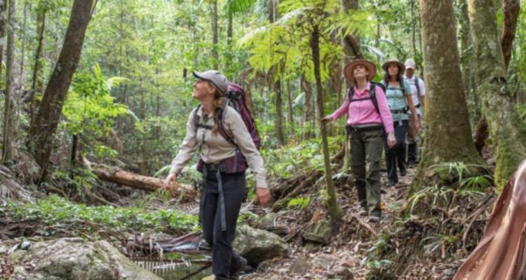 Petit groupe de randonnée marchant à travers une luxuriante forêt tropicale tasmanienne avec des sacs à dos
