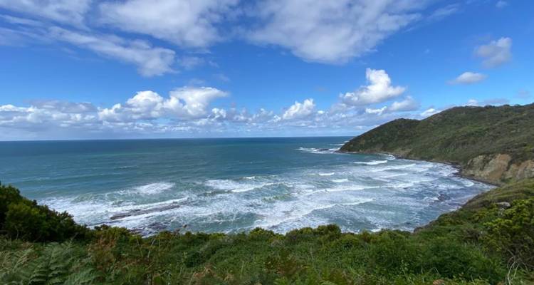 Vue côtière panoramique de vagues déferlantes se brisant contre un promontoire verdoyant sous un ciel bleu