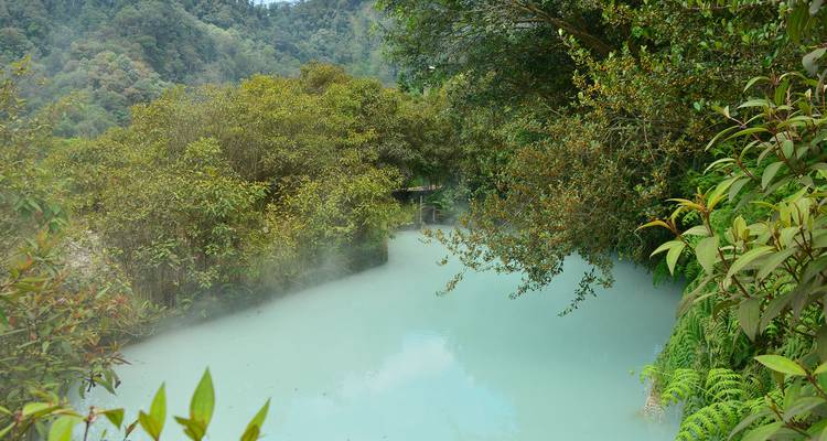 Milky blue geothermal hot spring surrounded by dense green rainforest and rising steam.