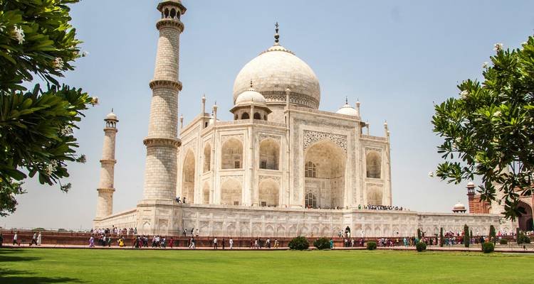Klassiek zijperspectief van de witte marmeren Taj Mahal die uit verzorgde gazonnen oprijst en omrand door groen bladerwerk.