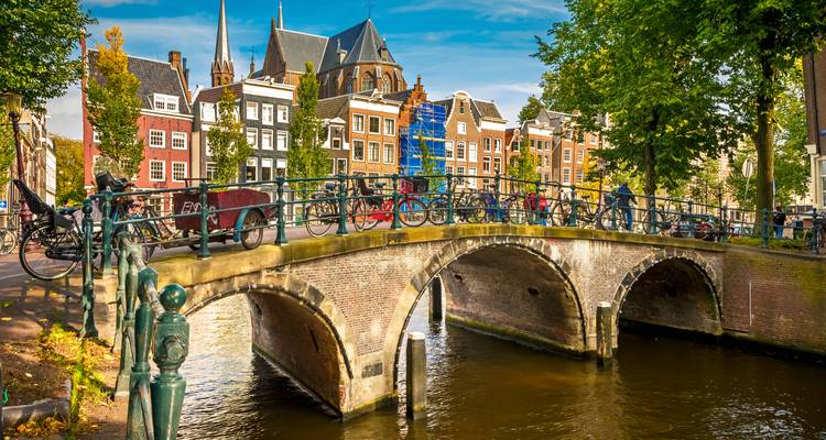 Pont en pierre voûté enjambant un canal d'Amsterdam avec des maisons de brique classiques et des arbres.